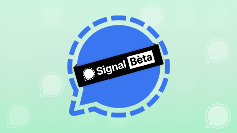 Signal App Beta Android