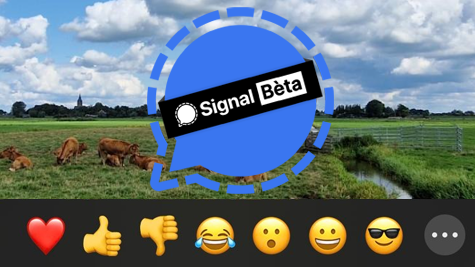 Signal App Beta iOS Emojireacties Verhalen
