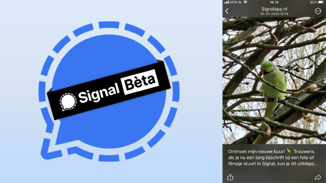 Signal update iOS: bijschriften uitklappen en registratieproces verbeterd