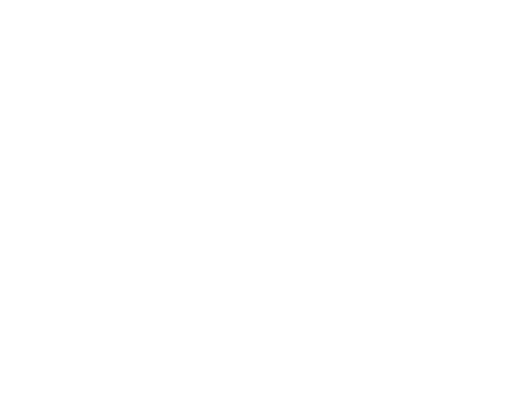 X Twitter Logo Wit